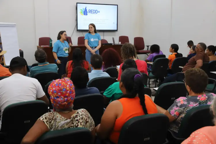 Tocantins avança com as reuniões prévias do processo de construção das oficinas de salvaguardas do REDD+ Jurisdicional do Estado