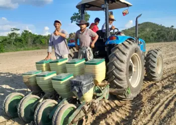 Prefeitura de Dois Irmãos do Tocantins lança projeto de Roça Comunitária na Serra do Meio