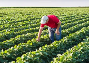 Crédito Rural: primeiro semestre de 2024 alcançou R$ 96 bilhões em concessão de linhas rurais e agroindustriais, revela Serasa Experian