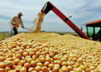 Frente Parlamentar do Agronegócio reúne-se na Aleto nesta quinta, 12