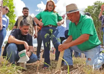 Tocantins inicia o maior programa de recuperação de nascentes da história do estado