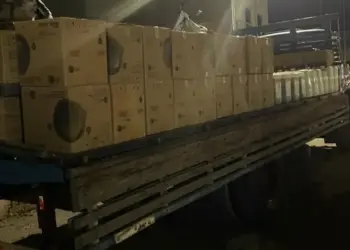 Dupla é presa por suspeita de roubar R$ 1,6 milhão em defensivos agrícolas de fazenda em Gurupi