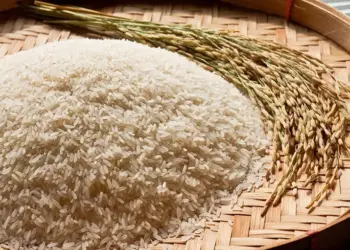 Novos leilões de contrato de opção de venda de arroz são marcados para próximo dia 20