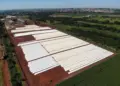 Safra recorde de soja expõe gargalos no Brasil
