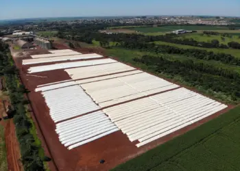 Safra recorde de soja expõe gargalos no Brasil