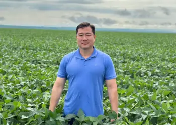 Conheça a estratégia do campeão nacional de produtividade no milho