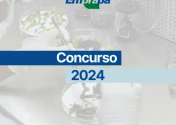 Embrapa abre concurso público para 1.027 vagas; Unidade do Tocantins oferece vagas para pesquisadores, analistas e técnicos