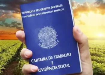 Gerente agrícola, gerente de logística e mais: pesquisa lista profissões em alta para 2025