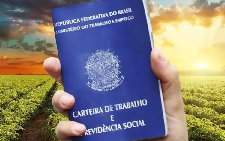 Gerente agrícola, gerente de logística e mais: pesquisa lista profissões em alta para 2025