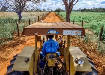 Estado garante mais de R$ 4,7 milhões para fortalecer a agricultura familiar