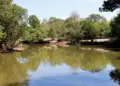 19º Boletim Climático e de Riscos de Incêndio: Nível das águas dos rios no Estado continua a subir, superando o ano passado