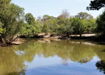 19º Boletim Climático e de Riscos de Incêndio: Nível das águas dos rios no Estado continua a subir, superando o ano passado