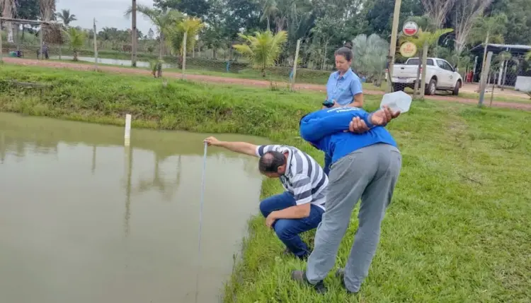 Estado e Embrapa impulsionam piscicultura familiar em Araguaína com novas tecnologias para alimentação do tambaqui