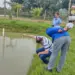 Estado e Embrapa impulsionam piscicultura familiar em Araguaína com novas tecnologias para alimentação do tambaqui