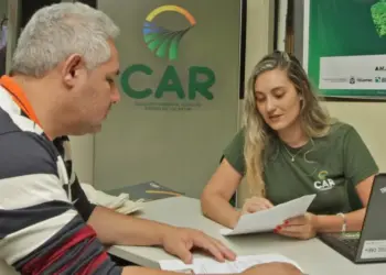 Tocantins regulamenta Cadastro Ambiental Rural e Programa de Regularização Ambiental