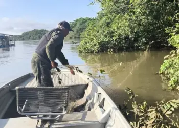 Instituto Natureza do Tocantins recolhe quase 2 mil metros de redes de pesca em fiscalizações no norte e sul do Tocantins