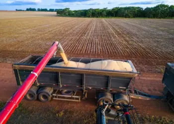 Produtores de soja dão início à colheita da safra 2024/25