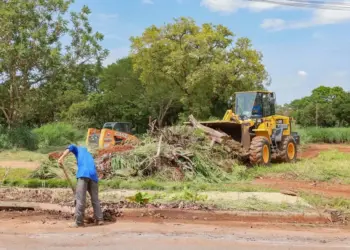 Prefeitura de Palmas cria quatro subprefeituras para regiões da Capital; confira como vai funcionar