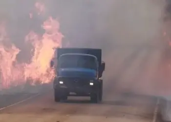 A agropecuária é uma aliada ao combate aos incêndios em áreas rurais e periurbanas