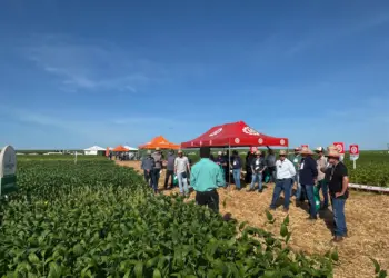 Jornada Tecnológica impulsiona produtividade de soja na região de Pedro Afonso
