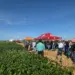 Jornada Tecnológica impulsiona produtividade de soja na região de Pedro Afonso