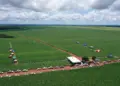 Experimentos com soja serão apresentadas na XV Jornada Tecnológica de Pedro Afonso e Região