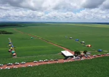 Experimentos com soja serão apresentadas na XV Jornada Tecnológica de Pedro Afonso e Região