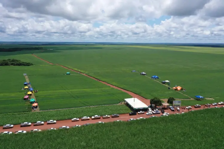 Experimentos com soja serão apresentadas na XV Jornada Tecnológica de Pedro Afonso e Região