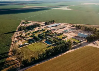 Grupo digitaliza propriedade rural utilizando redes privativas