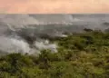 Brasil atinge recorde de focos de incêndio em 14 anos