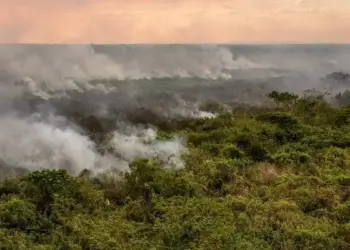 Brasil atinge recorde de focos de incêndio em 14 anos