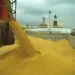 Anec: Brasil exporta 97,3 milhões de toneladas de soja em grão em 2024
