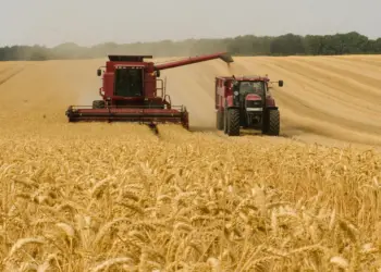 Crédito Rural cai no 2º Semestre de 2024, enquanto financiamentos privados avançam