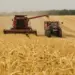 Crédito Rural cai no 2º Semestre de 2024, enquanto financiamentos privados avançam