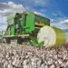 Brasil reforça liderança na exportação de algodão, mas desafios despontam para 2025