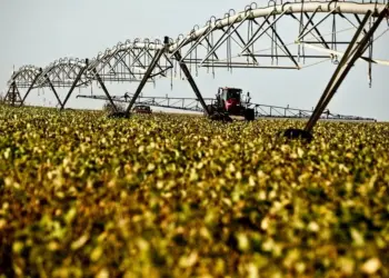 Alta dos juros deve impactar o crédito rural oficial em 2025