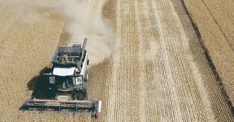 Brasil projeta safra de trigo de 7,53 milhões de toneladas