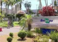 Com déficit de R$ 200 milhões, orçamento da Embrapa pode ser reduzido ainda mais em 2025