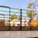 Projeto de Lei propõe rastreamento em tempo real para reforçar a segurança no transporte de animais