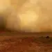 Sobrevivente de incêndio em fazendas recebe alta após cinco meses e emociona equipe médica