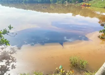 Derramamento de óleo contamina córrego e lago do Parque Cesamar