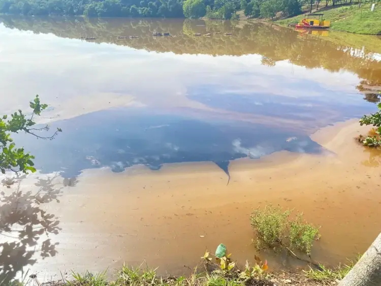 Derramamento de óleo contamina córrego e lago do Parque Cesamar