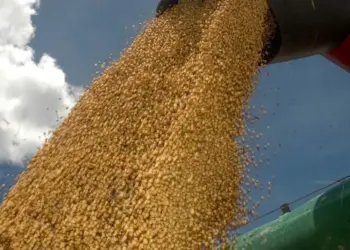 Expedição Soja Brasil percorre o Tocantins; veja os detalhes