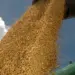 Expedição Soja Brasil percorre o Tocantins; veja os detalhes