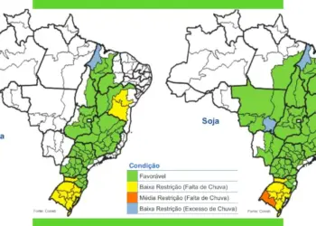 Colheita avança no Tocantins e Maranhão, enquanto chuvas no Pará atrasam safra