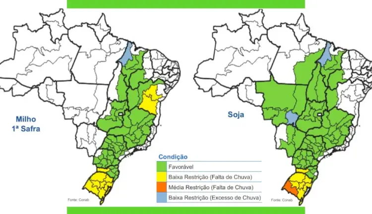Colheita avança no Tocantins e Maranhão, enquanto chuvas no Pará atrasam safra