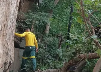 Naturatins intensifica ações para preservar sítios arqueológicos na APA Serra do Lajeado