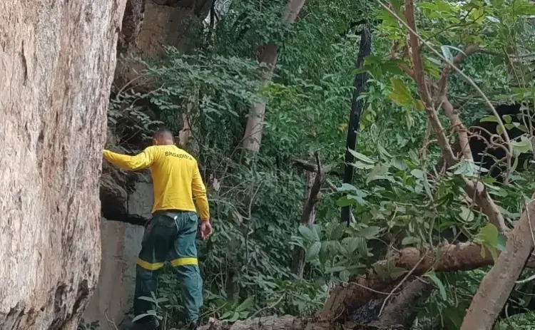 Naturatins intensifica ações para preservar sítios arqueológicos na APA Serra do Lajeado