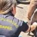 Adapec realiza monitoramento sorológico da Peste Suína Clássica em 55 municípios do estado
