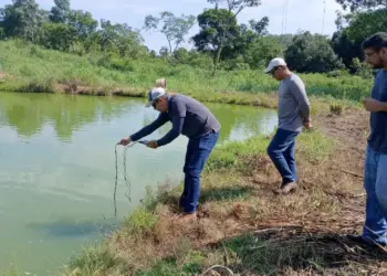 Adapec promove ações para ampliar número de cadastro de piscicultura no estado
